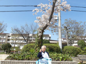 施設周辺の春の景色。桜の咲く庭園で入居者が外出している風景